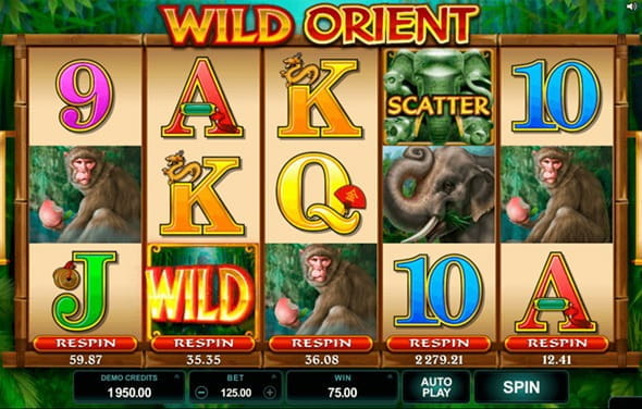 Joac? Wild Orient de la Microgaming