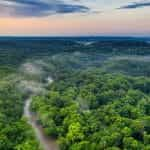 The treetops of the Amazon rainforest.